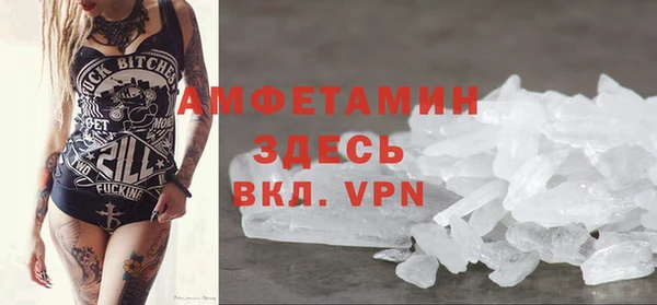 прущие грибы Елизово