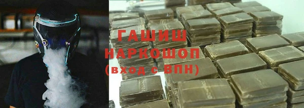 гидра Гусев
