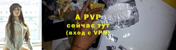 сатива Елабуга