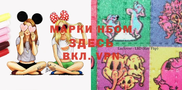 бошки Дмитров
