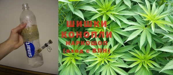 гидра Гусев