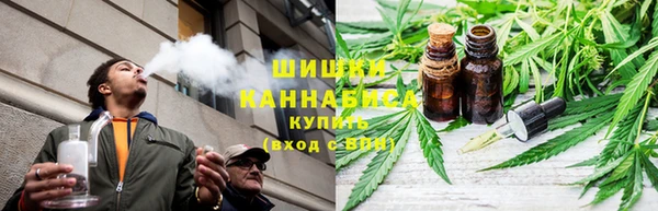 гидра Гусев