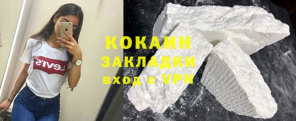 гидра Гусев