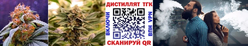 Купить закладки  Лангепас  Дистиллят ТГК гашишное масло 