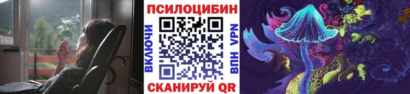 Купить где  Лангепас  Галлюциногенные грибы Psilocybine cubensis 